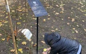 Znicz pamięci - wizyta Słoneczek na cmentarzu  (18)
