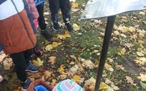 Październikowe przygody grupy Zuchy (10)