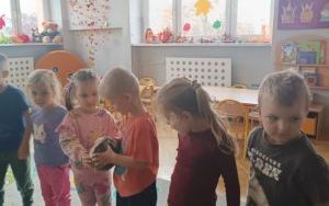 Przygotowania zwierząt do zimy (12)