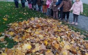 Przygotowania zwierząt do zimy (16)