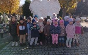 Przygotowania zwierząt do zimy (4)