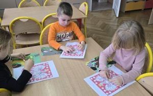 Misie i ich Ojczyzna (6)