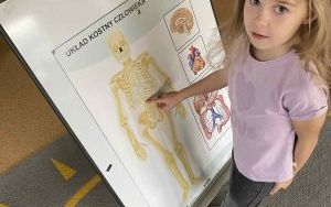 Słoneczka poznają jak człowiek jest zbudowany  (5)