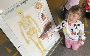 Słoneczka poznają jak człowiek jest zbudowany  (8)