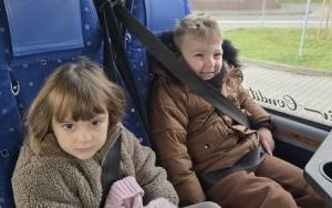 Misie pieką ciastka (10)