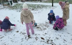 Tydzień Misia w Słoneczkach (3)