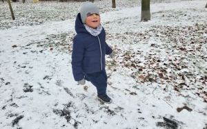 Tydzień Misia w Słoneczkach (6)