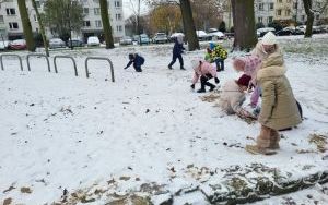 Tydzień Misia w Słoneczkach (7)