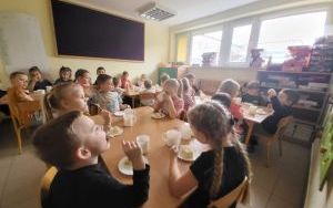 Tydzień Misia w Słoneczkach (7)