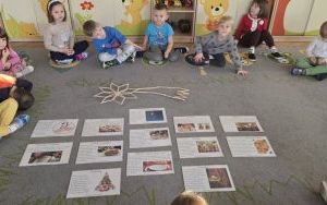 Bożonardzeniowe tydzień w grupie Misie (9)