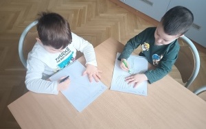 Oleśnica  (10)