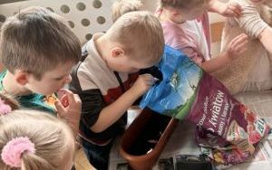 Zielony ogórek w grupie Zuchy (7)