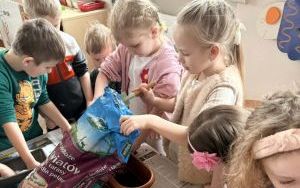 Zielony ogórek w grupie Zuchy (9)