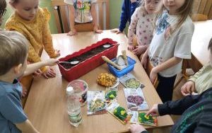 Słoneczka zakładają  Zielony Ogródek w sali (6)