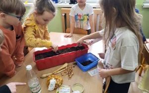 Słoneczka zakładają  Zielony Ogródek w sali (5)