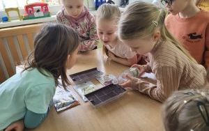 Słoneczka zakładają  Zielony Ogródek w sali (7)