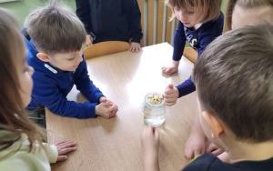Słoneczka zakładają  Zielony Ogródek w sali (8)