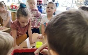 Słoneczka zakładają  Zielony Ogródek w sali (3)