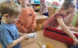 Słoneczka zakładają  Zielony Ogródek w sali (5)