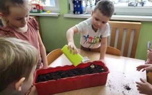Słoneczka zakładają  Zielony Ogródek w sali (8)