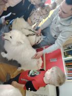 Czworonożni goście u Krasnali (8)