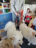 Czworonożni goście u Krasnali (9)