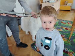 Czworonożni goście u Krasnali (10)