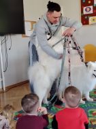 Czworonożni goście u Krasnali (11)