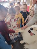 Czworonożni goście u Krasnali (1)