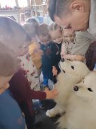 Czworonożni goście u Krasnali (2)