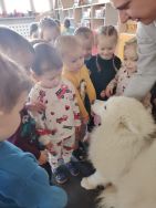 Czworonożni goście u Krasnali (3)