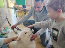 Czworonożni goście u Krasnali (7)