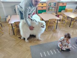 Czworonożni goście u Krasnali (13)