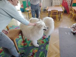 Czworonożni goście u Krasnali (16)