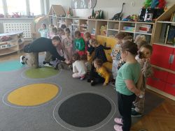 Czworonożni goście u Krasnali (2)