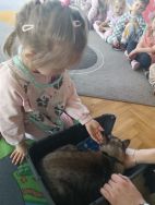 Czworonożni goście u Krasnali (9)