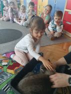 Czworonożni goście u Krasnali (6)