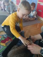 Czworonożni goście u Krasnali (7)