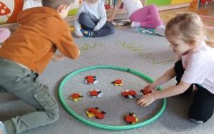 Misie witają wiosnę (15)