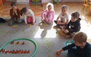 Misie witają wiosnę (16)