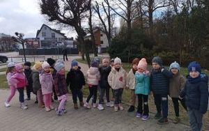 Misie witają wiosnę (1)