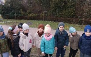 Misie witają wiosnę (2)