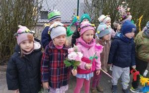 Misie witają wiosnę (12)