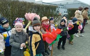 Misie witają wiosnę (13)