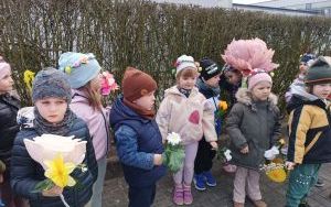 Misie witają wiosnę (14)