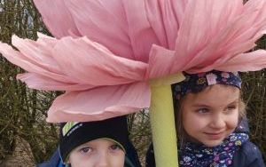 Misie witają wiosnę (7)