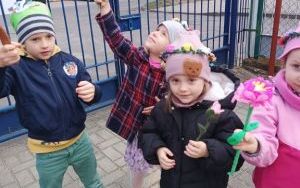 Misie witają wiosnę (8)