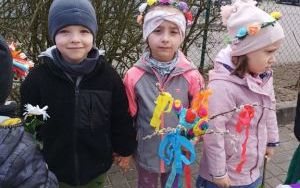 Misie witają wiosnę (2)