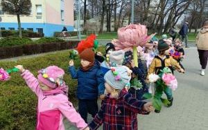 Misie witają wiosnę (4)