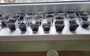 Warsztaty Wielkanocne w grupie Słoneczka